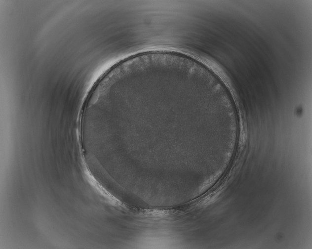 X0000115710958200912031525