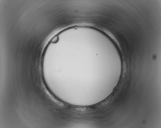 X0000115710959200912031525