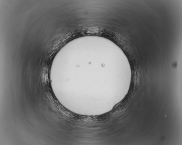 X0000115710962200912031525