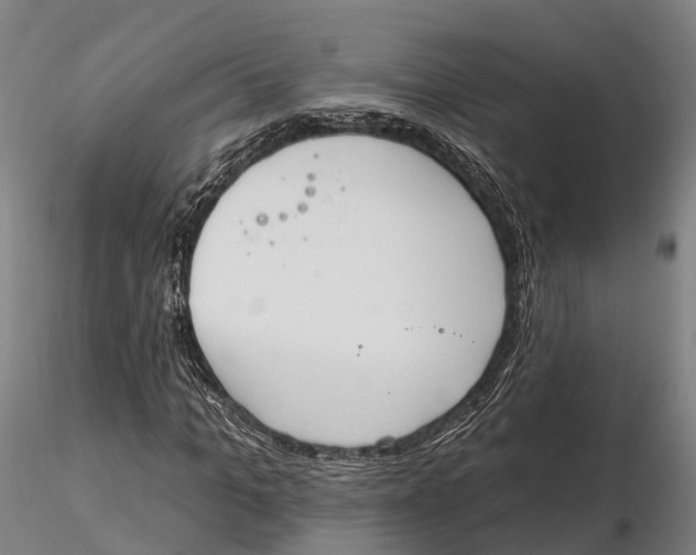 X0000115710965200912031525