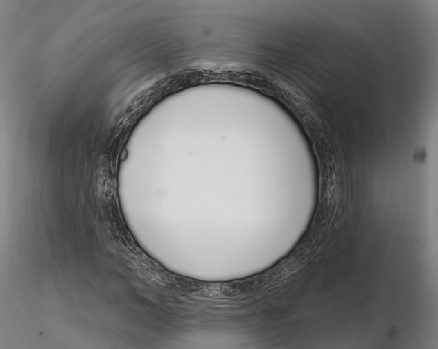 X0000115710966200912031524