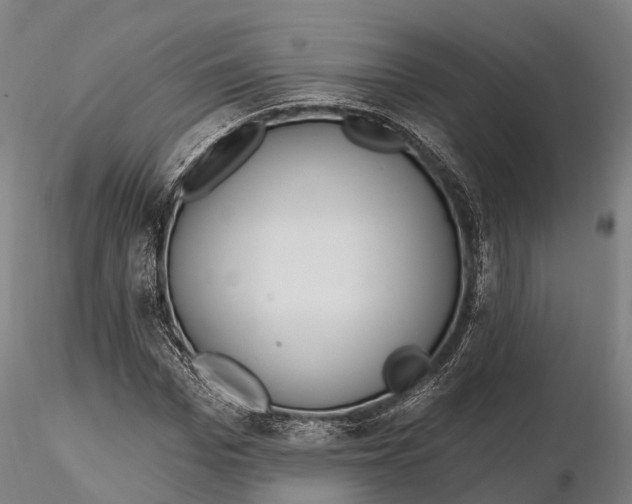 X0000115710969200912031524