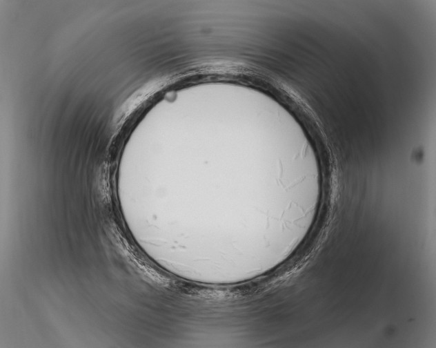 X0000115710970200912031524