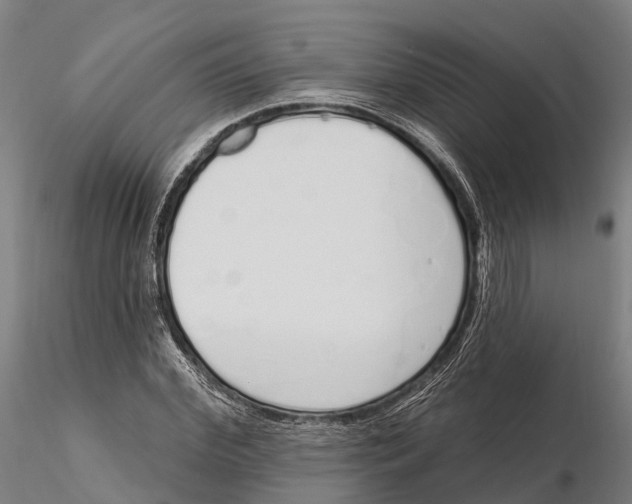 X0000115710972200912031524