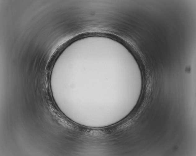 X0000115710974200912031524