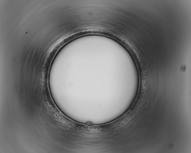 X0000115710975200912031524