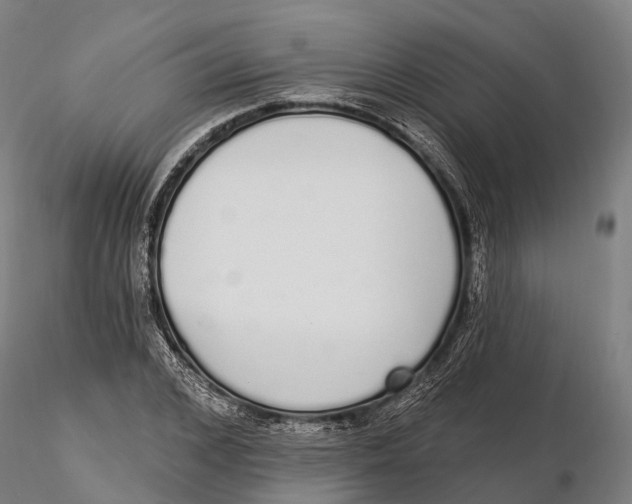 X0000115710976200912031524