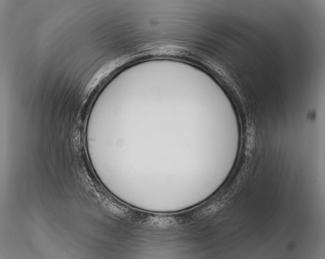 X0000115710978200912031524