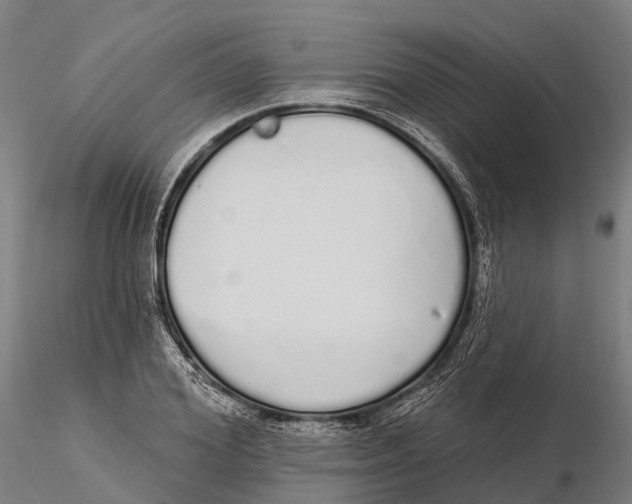 X0000115710980200912031524