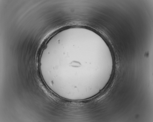 X0000115710981200912031524