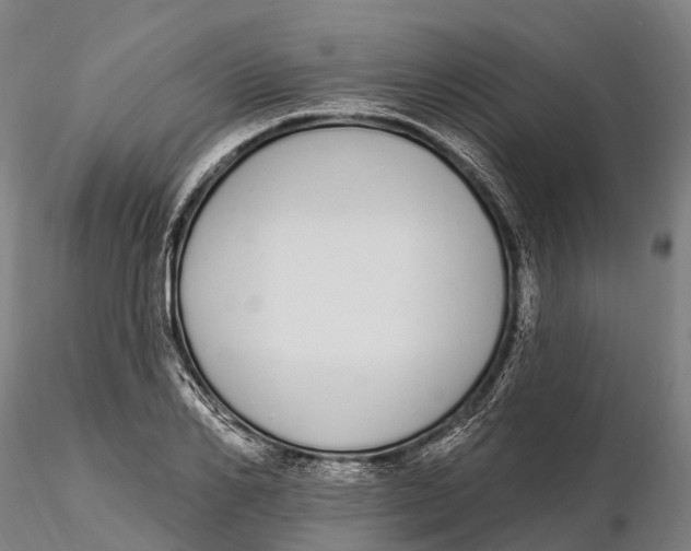 X0000115710982200912031524