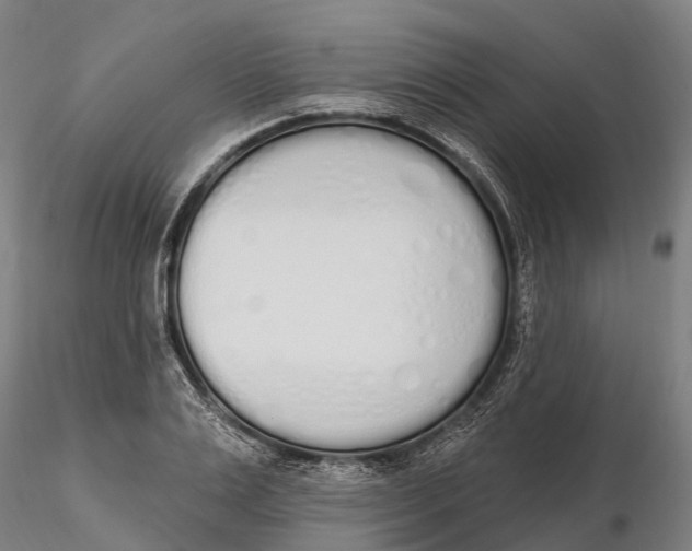 X0000115710983200912031524