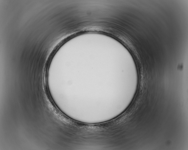 X0000115710984200912031524