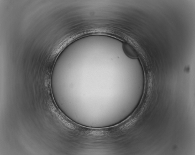 X0000115710985200912031524