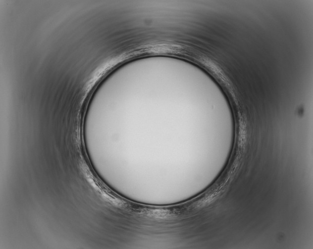 X0000115710986200912031524