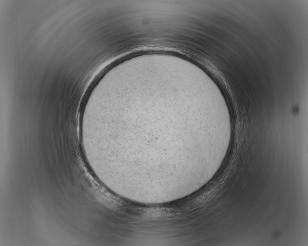 X0000115710988200912031524