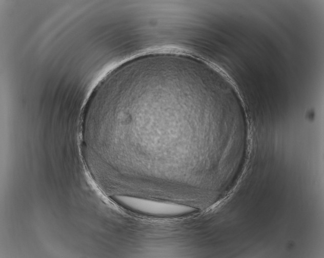 X0000115710989200912031524