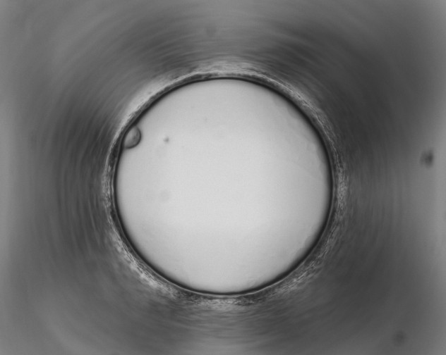 X0000115710990200912031524