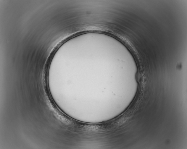 X0000115710991200912031524