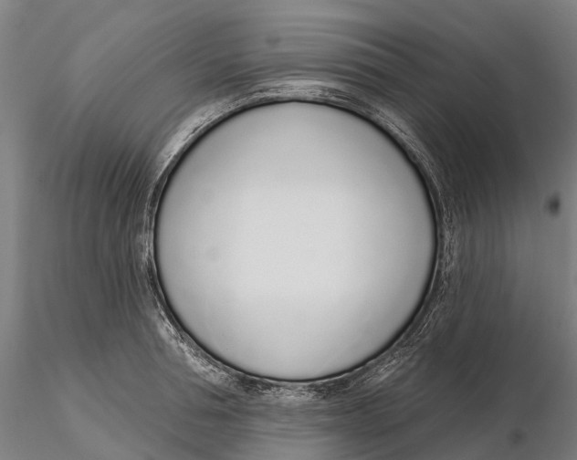 X0000115710994200912031524