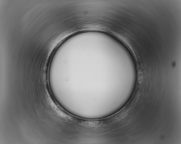 X0000115710995200912031524