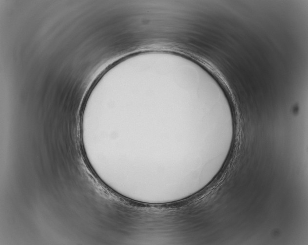 X0000115710996200912031524