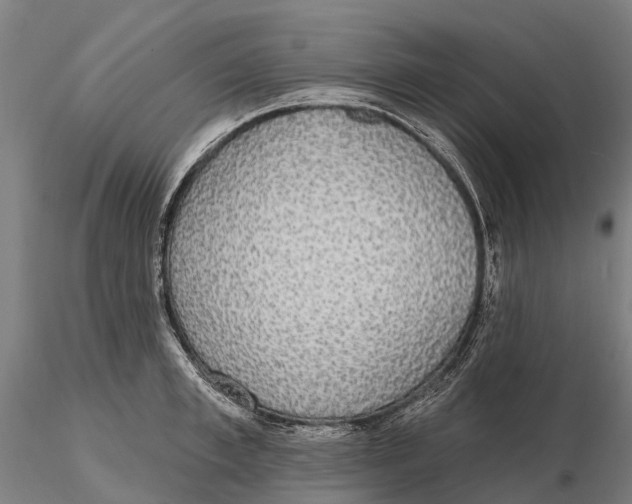 X0000115710997200912031524