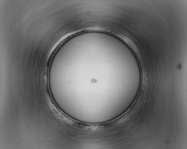 X0000115711000200912031524