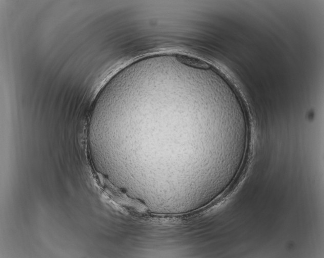 X0000115711001200912031524