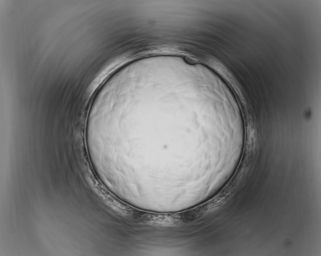 X0000115711002200912031524