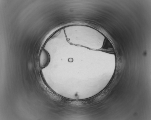 X0000115711004200912031524