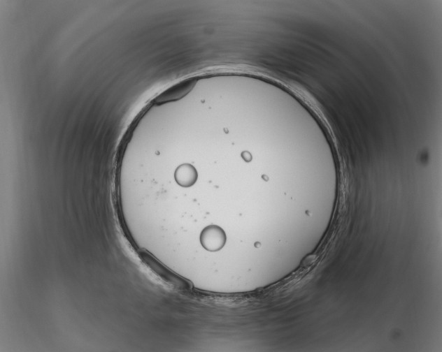 X0000115711005200912031524