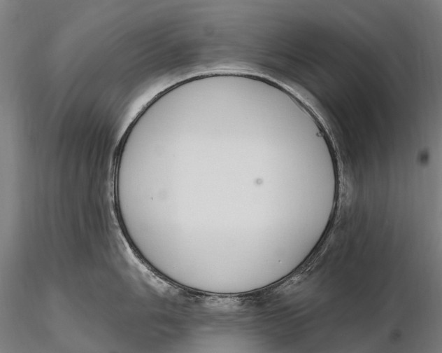 X0000115711006200912031524