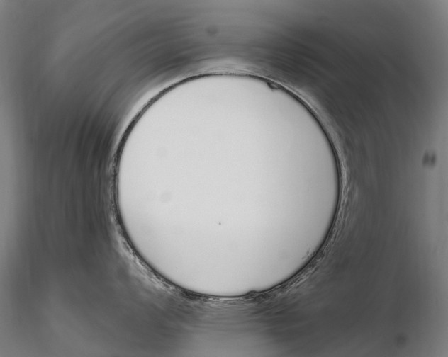 X0000115711008200912031524