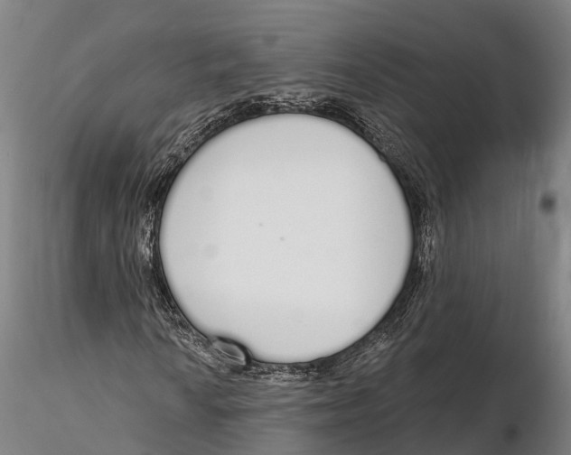 X0000115711010200912031523