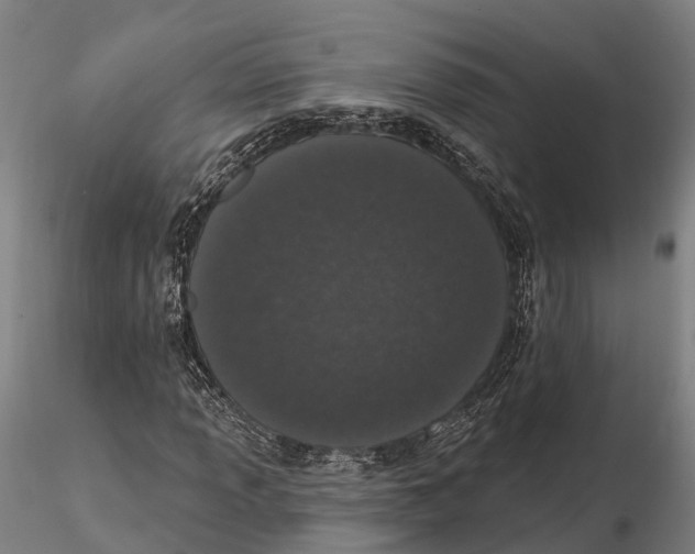 X0000115711013200912031523