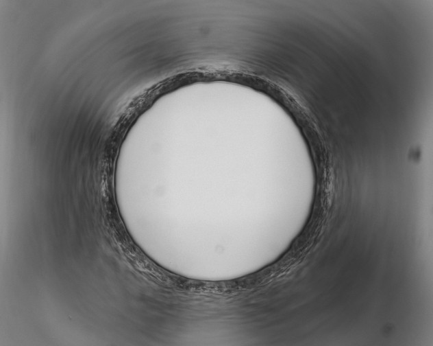 X0000115711016200912031523