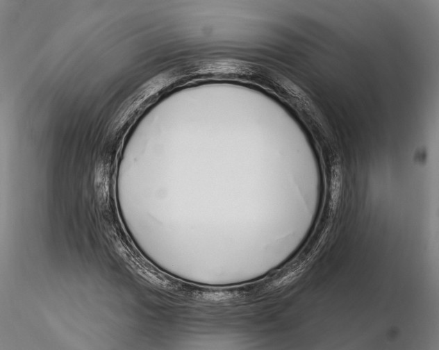 X0000115711017200912031523