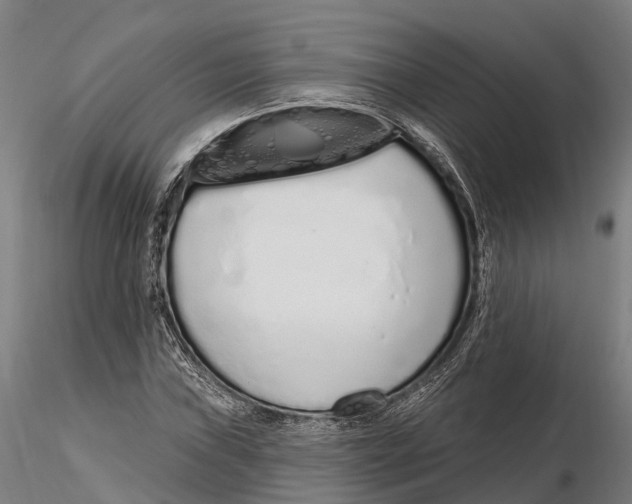 X0000115711019200912031523