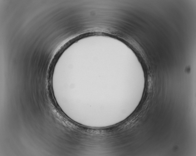 X0000115711020200912031523