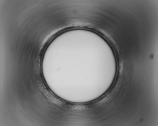 X0000115711021200912031523