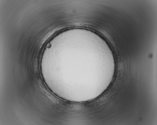 X0000115711023200912031523