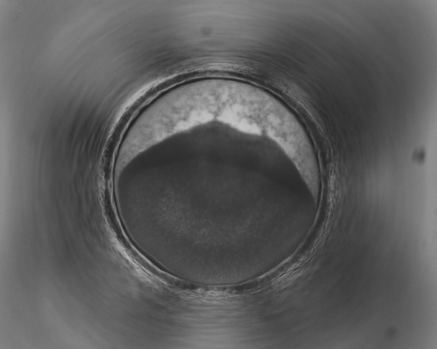 X0000115711024200912031523