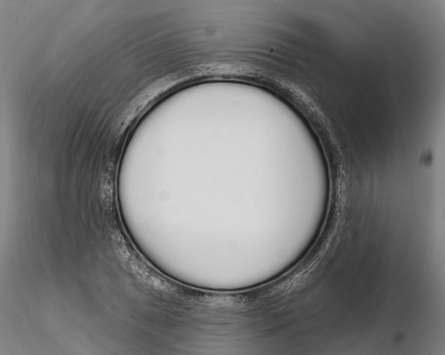 X0000115711025200912031523