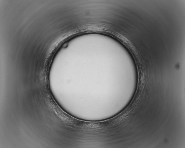 X0000115711027200912031523