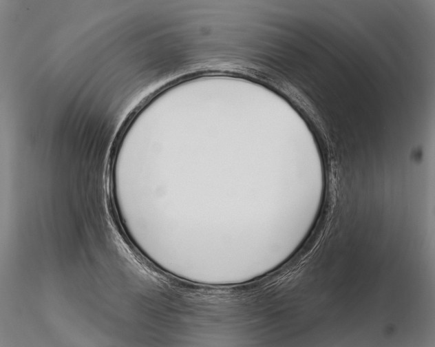 X0000115711028200912031524