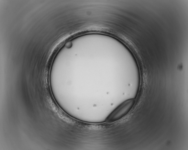 X0000115711029200912031524