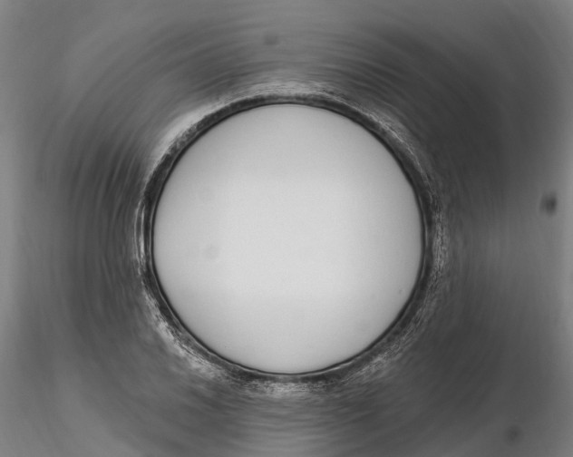 X0000115711030200912031524