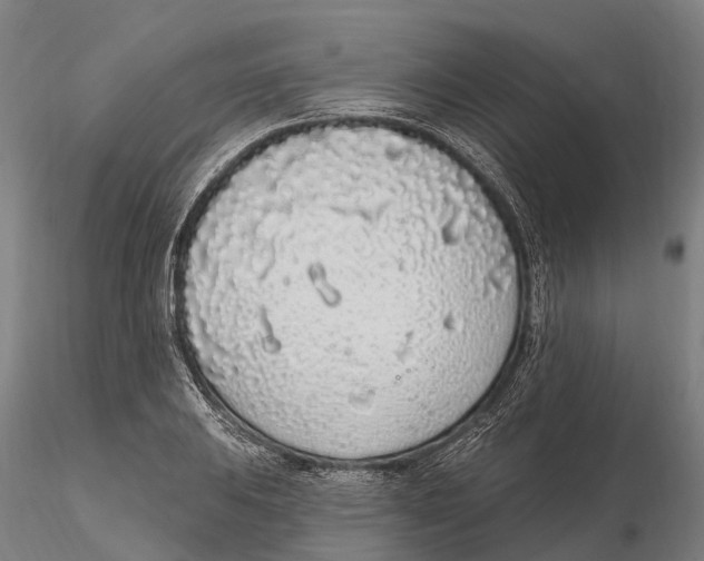 X0000115711031200912031524