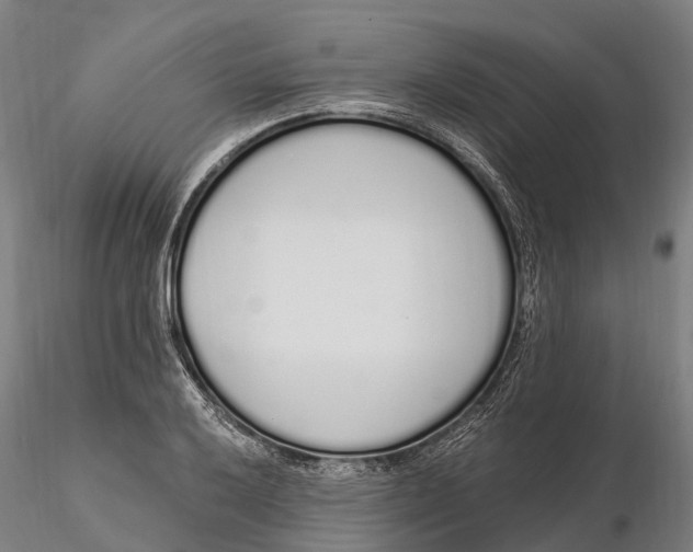 X0000115711032200912031524